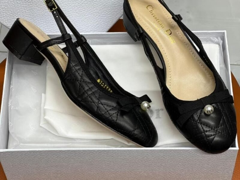 Master Shoes#Dior#4