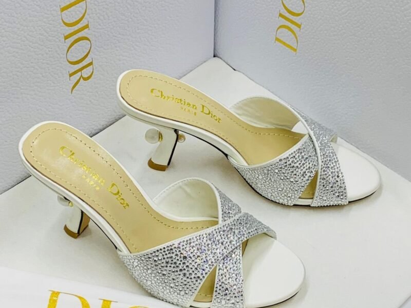 Master Shoes#Dior#17