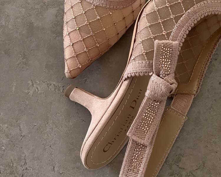 Master Shoes#Dior#21