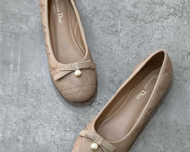 Master Shoes#Dior#26