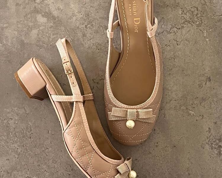 Master Shoes#Dior#23