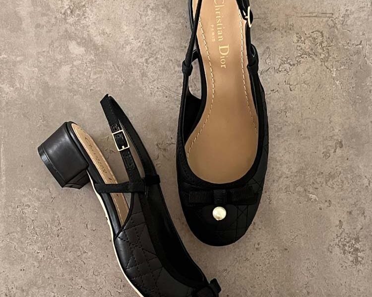 Master Shoes#Dior#24