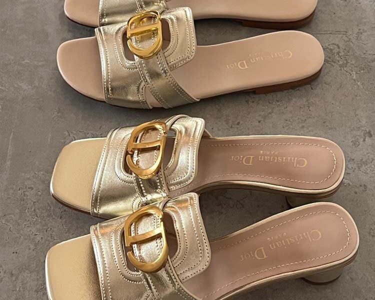 Master Shoes#Dior#27