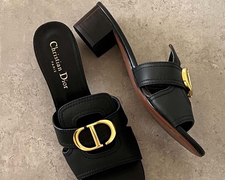 Master Shoes#Dior#28