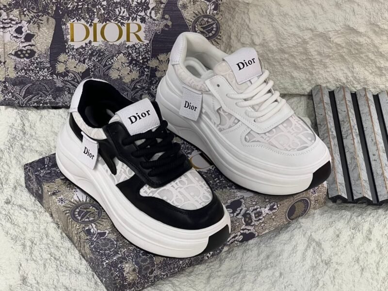 Master Shoes#Dior#10
