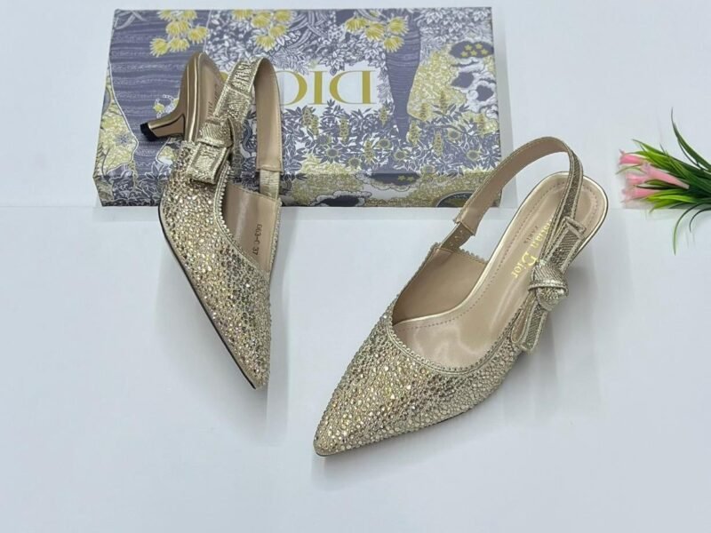 Master Shoes#Dior#48