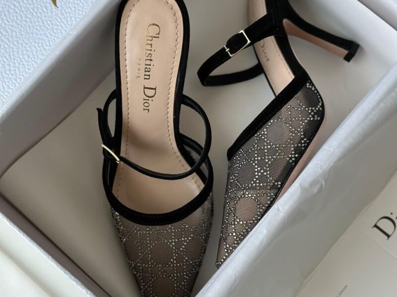 Master Shoes#Dior#54