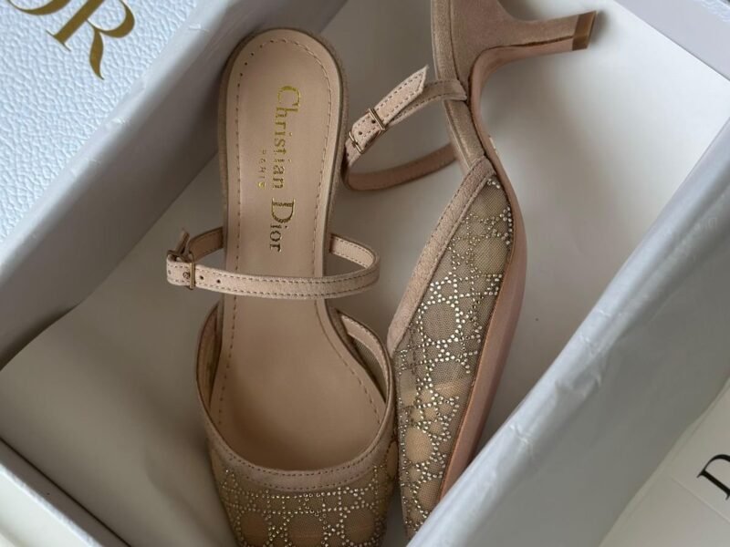 Master Shoes#Dior#64