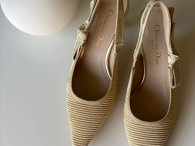 Shoes – Dior#481