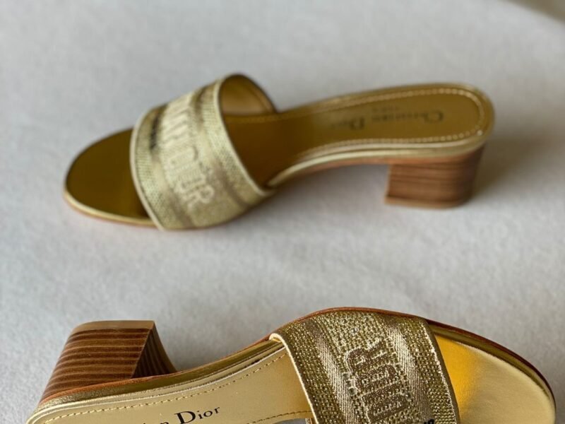 Shoes – Dior#487