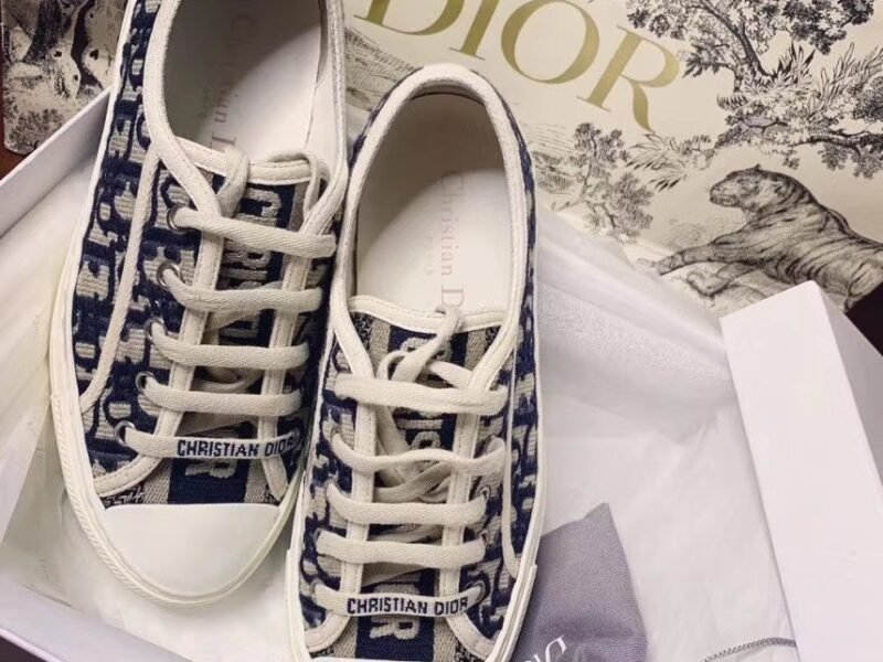 Shoes – Dior#459