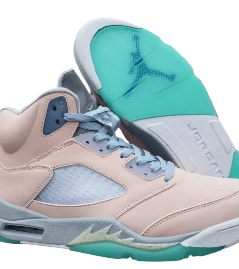 Air Jordan 5 "Moonlight"